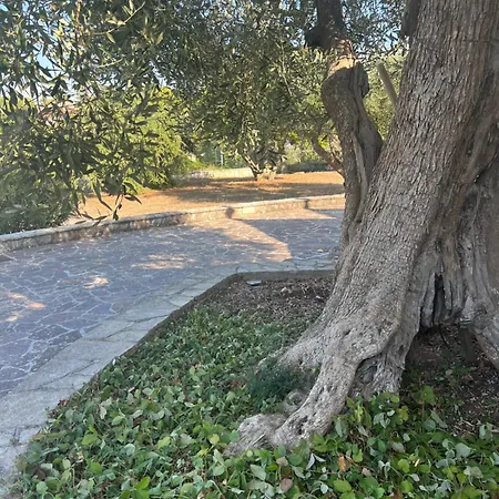 Apartament I Trulli Di Eva Noci